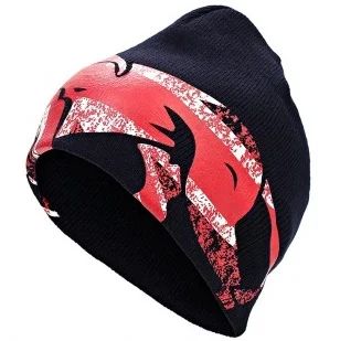 Лот: 4785185. Фото: 1. Шапка Lonsdale Kirkby 114882 Dark... Головные уборы