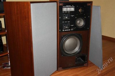 Лот: 233762. Фото: 1. RADIOTEHNIKA 35AC-201. Пассивные акустические системы