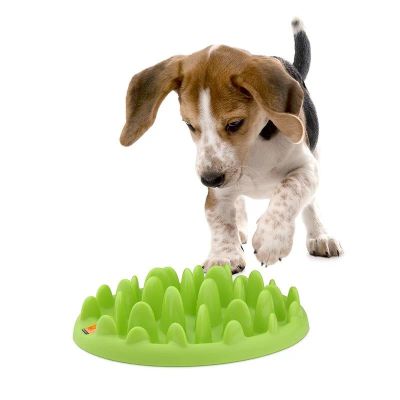 Лот: 11753606. Фото: 1. Миска Northmate Green mini диетолог... Миски, лотки, наполнители