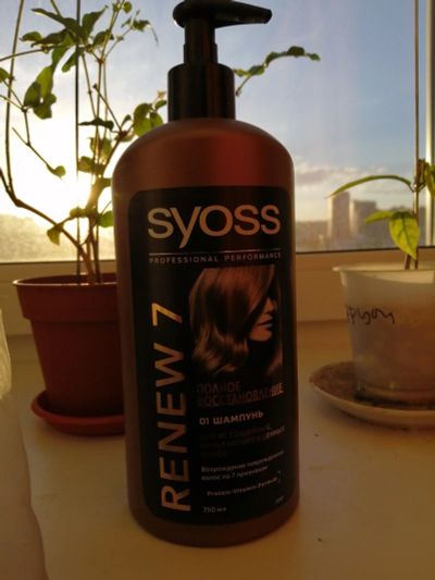 Лот: 13938497. Фото: 1. Шампунь syoss Renew 7 syoss professional... Уход за волосами 