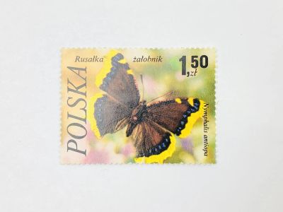 Лот: 23314125. Фото: 1. Бабочки. Траурница. Фауна. Польша... Марки