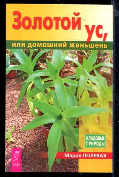 Лот: 23430255. Фото: 1. Золотой ус, или домашний женьшень. Популярная и народная медицина