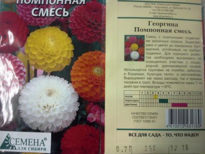 Лот: 5063527. Фото: 1. Георгина Помпонная смесь (семена... Другое (семена, рассада, садовые растения)