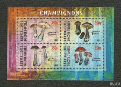 Лот: 18587676. Фото: 1. 2013 год. Кот-д’Ивуар. Блок. Грибы... Марки