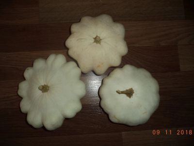 Лот: 12095622. Фото: 1. Патисоны 3 штуки. Овощи, фрукты, зелень