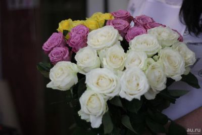 Лот: 9908758. Фото: 1. Роза 50см "Россия" 60рублей, доставка... Другое (растения и животные)