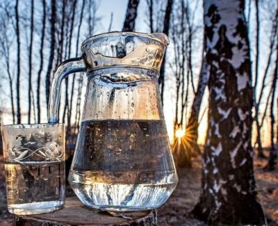 Лот: 25273594. Фото: 1. Березовый сок. Напитки