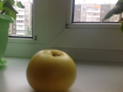Лот: 6116005. Фото: 1. Яблоки домашние, пятилитровое... Овощи, фрукты, зелень