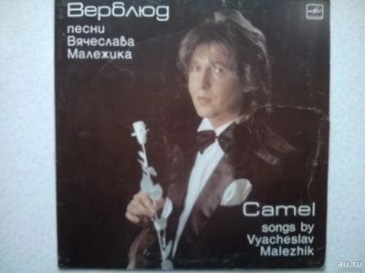 Лот: 9938745. Фото: 1. LP Вячеслав Малежик - Верблюд. Аудиозаписи