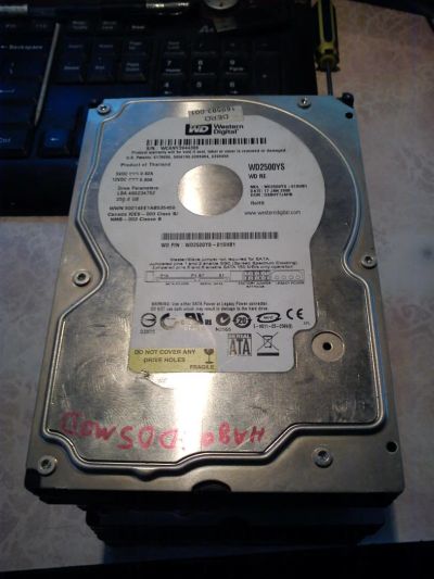 Лот: 4091898. Фото: 1. 3"5 HDD под списание. WD250YS-01SHB1. Жёсткие диски (HDD)