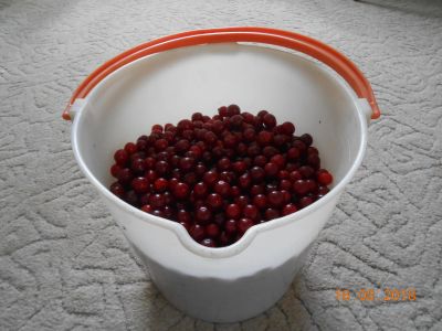 Лот: 11948032. Фото: 1. Срочная продажа, один день, вишня... Ягоды, орехи