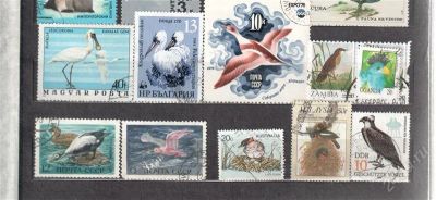 Лот: 2764017. Фото: 1. Почтовые марки Птицы 35 штук... Марки