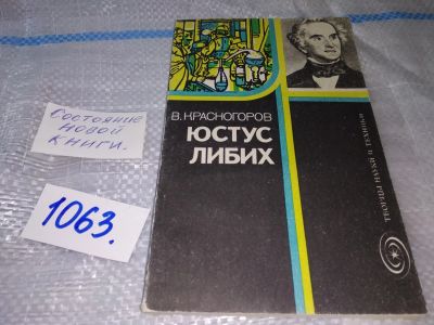 Лот: 16938269. Фото: 1. (3092303) Красногоров, В. Юстус... История