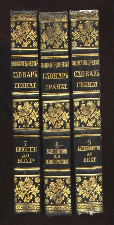 Лот: 20127114. Фото: 1. Энциклопедический словарь русского... Книги