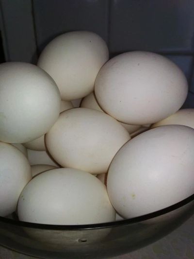Лот: 9910336. Фото: 1. Яйцо домашнее куриное !!!. Мясо, птица, яйцо