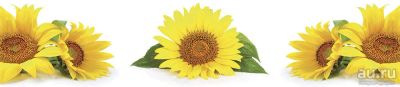 Лот: 13832936. Фото: 1. SP 133 Стеновые дизайн панели... Фартуки для кухни