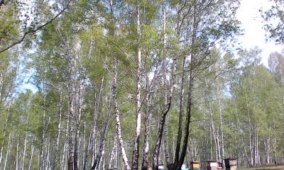 Лот: 19076050. Фото: 1. земельный участок. Земельные участки