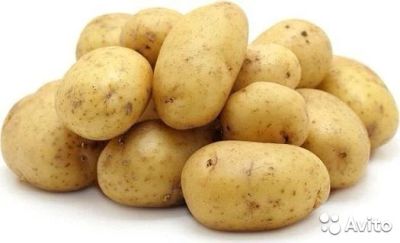 Лот: 7698450. Фото: 1. Продам картофель. Картофель