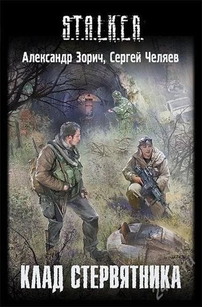 Лот: 1342925. Фото: 1. S.T.A.L.K.E.R. Алксандр Зорич... Художественная