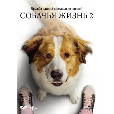 Лот: 24540326. Фото: 1. DVD-видеодиск ND Play Собачья... CD, DVD, BluRay