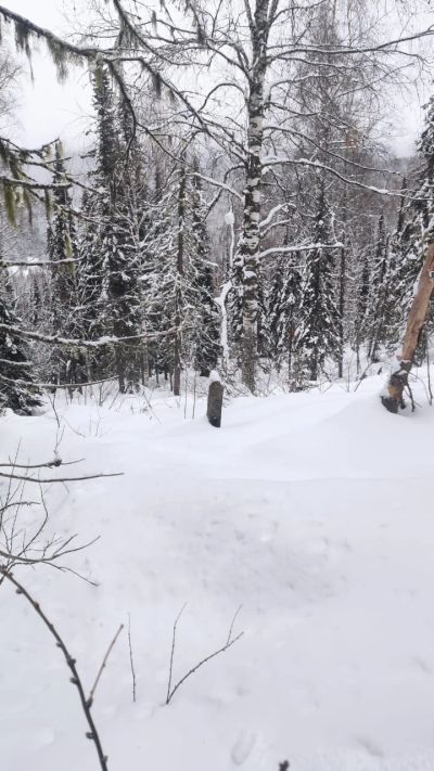 Лот: 18380822. Фото: 1. Сноубордические ботинки. Ботинки