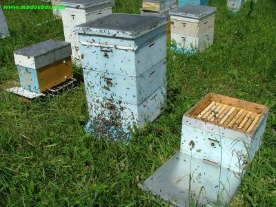 Лот: 9687383. Фото: 1. Новые ульи ( корпус магазин рамки... Пчеловодство
