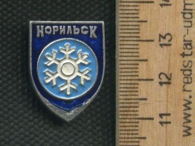 Лот: 17495784. Фото: 1. (№ 8595 ) значки Норильск. Памятные медали