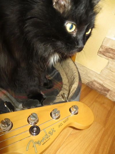 Лот: 3764995. Фото: 1. Fender Jazz Bass, USA, sunburst. Гитары