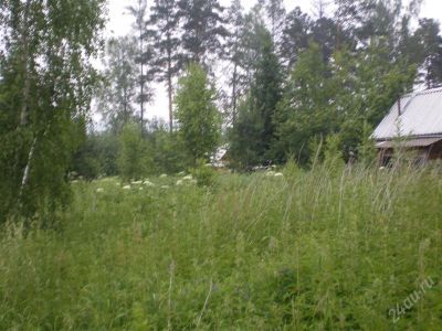 Лот: 2823797. Фото: 1. Продам участок Усть Мана 10 соток. Земельные участки