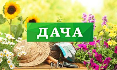 Лот: 9673889. Фото: 1. Дача 10 соток с домом 30 м2. Дачи
