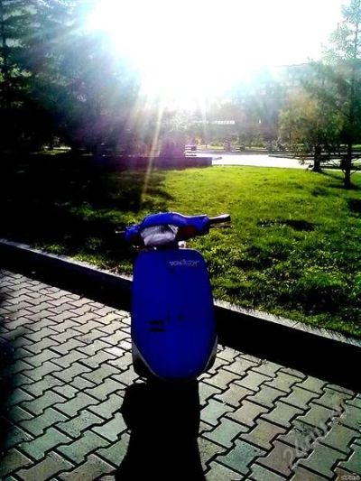 Лот: 2129396. Фото: 1. Honda Tact af-16 (едет 75!!!). Мотороллеры, мопеды