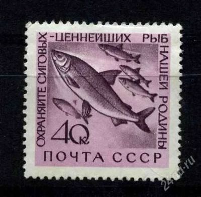 Лот: 806270. Фото: 1. 1960 (2469) Рыбы фауна. Марки