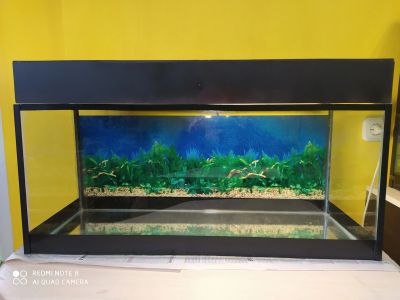 Лот: 17079176. Фото: 1. Аквариум 90 л N 2. Аквариумы, террариумы