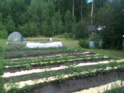 Лот: 4859464. Фото: 1. Дом, дача, участок. Кускун, Малый... Дачи