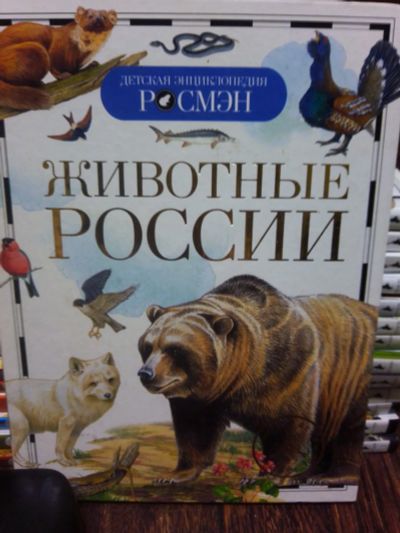 Лот: 19685643. Фото: 1. энциклопедия "Животные России... Познавательная литература