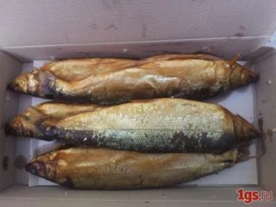 Лот: 4718496. Фото: 1. Омуль Ленский х/к. Икра, рыба, морепродукты