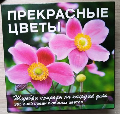 Лот: 17544949. Фото: 1. Настольный календарь "Прекрасные... Календари