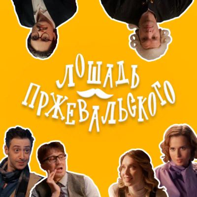 Лот: 24913718. Фото: 1. Лошадь Пржевальского. Видеозаписи, фильмы