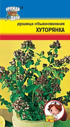 Лот: 10811768. Фото: 1. Семена душицы обыкновенной (многолетник... Пряные, лекарственные растения и зелень