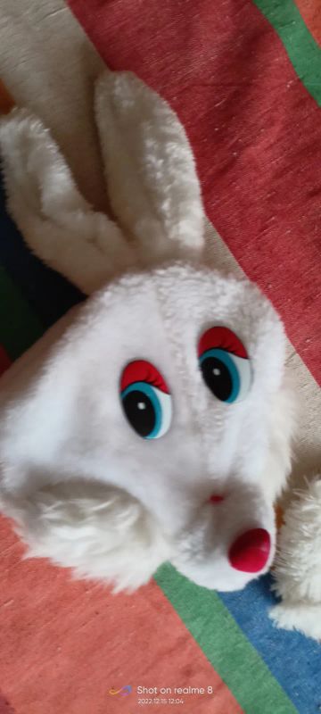 Лот: 19814155. Фото: 1. Костюм зайца. Детские карнавальные, праздничные костюмы