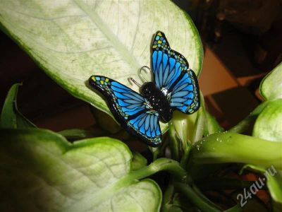 Лот: 362399. Фото: 1. Изделия из полимерной глины брошь... Броши