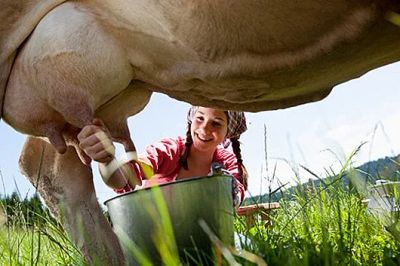 Лот: 7407127. Фото: 1. Молоко коровье. Молоко и молочные продукты