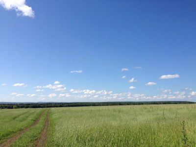 Лот: 711777. Фото: 1. земля продам земельный участок... Земельные участки