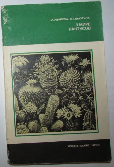 Лот: 20338374. Фото: 1. В мире кактусов. Удалова Р.А... Дизайн