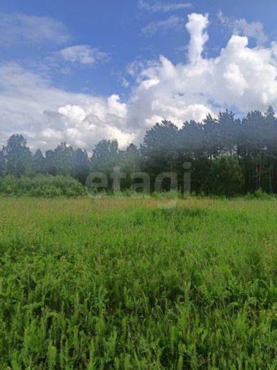 Лот: 25580038. Фото: 1. участок , СНТ Рублёвка Волгоградская... Земельные участки