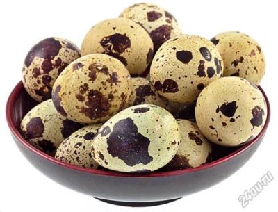 Лот: 5830108. Фото: 1. Яйцо перепелиное домашнее 2,5... Мясо, птица, яйцо