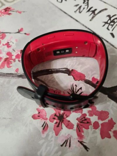 Лот: 19499952. Фото: 1. Часы Samsung Gear Fit2 Pro. Смарт-часы, фитнес-браслеты, аксессуары