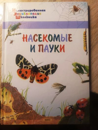 Лот: 19005152. Фото: 1. Энциклопедия школьника иллюстрированная... Познавательная литература