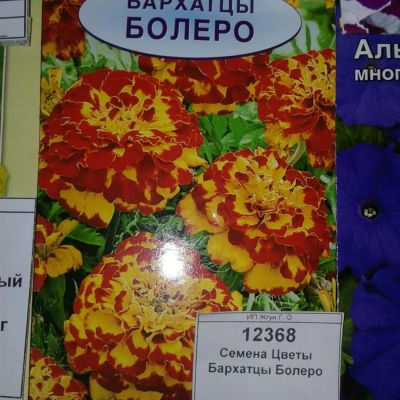 Лот: 9115528. Фото: 1. Семена / Цветы / Бархатцы / Болеро... Садовые цветы