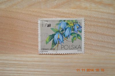 Лот: 4734608. Фото: 1. Марка Польши 1984г. Цветы. Марки